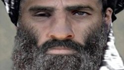 Molla Muhammed Ömer